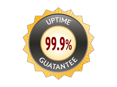 Fiança de tempo de uptime do servidor de 99.9%